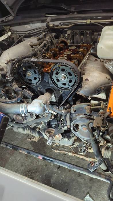 zahnriemen2.jpg zahnriemen2.jpg